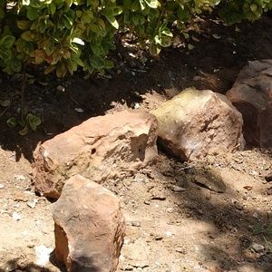 Meet your Posher, Mal